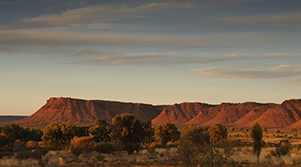Kings Canyon Resort