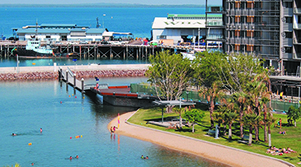 A Taste of Darwin