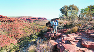 Uluru & Kings Canyon Self Drive