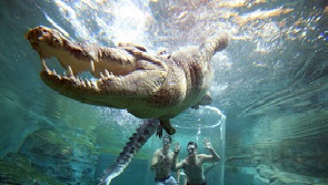 6 Day Darwin Family Escape