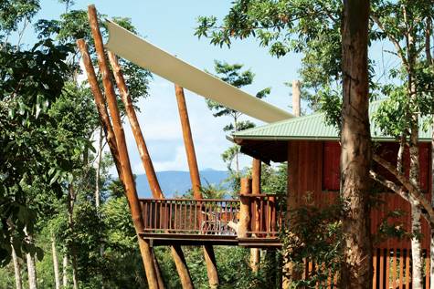 Exterior
 - Rose Gums Wilderness Retreat