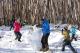 Lake Mountain Snow Tours - Pinnacles Sunset and Stargazing Tour with Dinner Autopia Tours