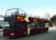 Sydney City Centre Tours, Cruises, Sightseeing and Touring - Big Bus Sydney Night Tour