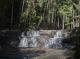 Bellthorpe Rainforest Tours
 - Maiala Rainforest Tour Brisbane Nature Tours