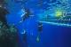 Divers & underwater platform
 - Day Cruise to Great Barrier Reef - 3 Certified Dives w/ TRF Calypso Snorkel and Dive