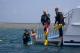 Divers off back deck
 - Day Cruise to Great Barrier Reef - 3 Certified Dives w/ TRF Calypso Snorkel and Dive