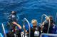 Tuition for Intro divers  - Day Cruise to Great Barrier Reef - Introductory Dive w/ TRF Calypso Snorkel and Dive