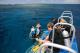 Small groups of up to 4 divers
 - Day Cruise to Great Barrier Reef - Introductory Dive w/ TRF Calypso Snorkel and Dive