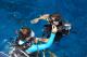 Personalised tuition
 - Day Cruise to Great Barrier Reef - Introductory Dive w/ TRF Calypso Snorkel and Dive