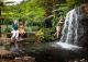 Botanic Gardens
 - Sunshine Coast Hinterland Highlights Tour Coast to Hinterland Tours