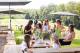 Sunshine and Fraser Coast Tours, Cruises, Sightseeing and Touring - Sunshine Coast Hinterland Highlights Tour