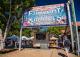Eumundi Markets Transfer
 - Sunshine Coast Hinterland Highlights Tour Coast to Hinterland Tours
