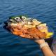 Seafood platter upgrade
 - Seafood Lunch Cruise Coastal Cruises Mooloolaba