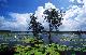 
 - Jabiru Airport to Mt Borradaile Lodge - Scheduled - One Way Davidson's Arnhemland Safaris
