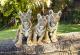 Cubs
 - Unlimited entry over 2 days within 7- day period Dreamworld