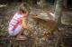 Cairns/Tropical Nth Tours, Cruises, Sightseeing and Touring - Big Croc Experience ex CNS Beaches