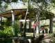 Townsville Tours, Cruises, Sightseeing and Touring - World Heritage Rainforest Expedition