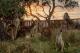 Australia in a Day
 - Australia in a Day - ex Brisbane Kiff & Culture
