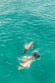 Australia in a Day
 - Australia in a Day - ex Brisbane Kiff & Culture