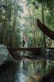 Gold Coast Tours, Cruises, Sightseeing and Touring - Tamborine Hidden Gems - ex Gold Coast