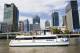 Brisbane City Centre Tours, Cruises, Sightseeing and Touring - Koala Cruise - One Way River Cruise to Lone Pine Sanctuary