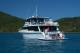 Cairns/Tropical Nth Tours, Cruises, Sightseeing and Touring - Great Barrier Reef Half Day Snorkel Tour