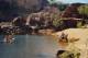 NT Country Tours, Cruises, Sightseeing and Touring - Malappar Traveller (Half Day Canoe) - Double Canoe