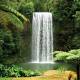 Cairns/Tropical Nth Tours, Cruises, Sightseeing and Touring - Tablelands, Waterfalls, Rainforest & Paronella Park-Concess
