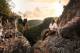 Darwin Tours, Cruises, Sightseeing and Touring - Darwin Birding Tour