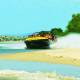 Beach
 - 55 minute Jet Blast Jetboat Ride with Transfers Paradise Jetboating