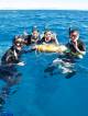 Cairns/Tropical Nth Tours, Cruises, Sightseeing and Touring - 1 Day Outer Reef Experience - 2 Certified Dive ex NBC