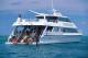 Cairns/Tropical Nth Tours, Cruises, Sightseeing and Touring - Private Guide Dive Experience - 4 Divers