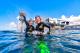 Lots of fun at the reef!
 - Cruise + 1 Intro Dive - self drive Reef Magic Cruises