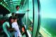 Gold Coast Attractions and Theme Parks Tickets - Skypoint 1 Day Ticket