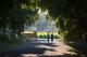 SA Country Tours, Cruises, Sightseeing and Touring - St Hugo Garden to Table Experience