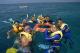 Guided snorkel tour
 - Island Value Combo-Premium Buffet Lunch+Glass Bottom Boat Sunlover Reef Cruises