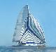 
 - Dolphin Swim ex Glenelg - No Transfers Temptation Sailing