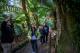 Walks at Mt. Field National Park  - Mt Field, Wildlife & Mt. Wellington - Active Day Tour Tours Tasmania