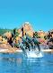 Gold Coast Attractions and Theme Parks Tickets - 14 Day Mega Pass