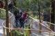VIC Country Tours, Cruises, Sightseeing and Touring - Walk with Wildlife Guided Tour